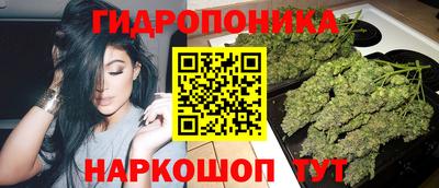 гидропоника Заволжье