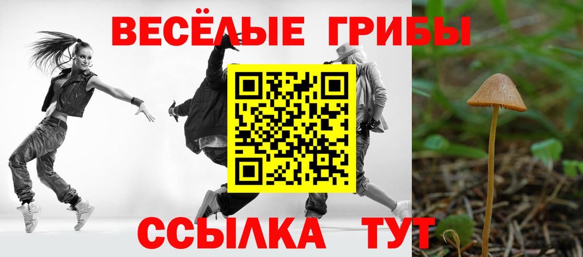 Галлюциногенные грибы GOLDEN TEACHER  Галлюциногенные грибы Cubensis  Можга  Вход с VPN 